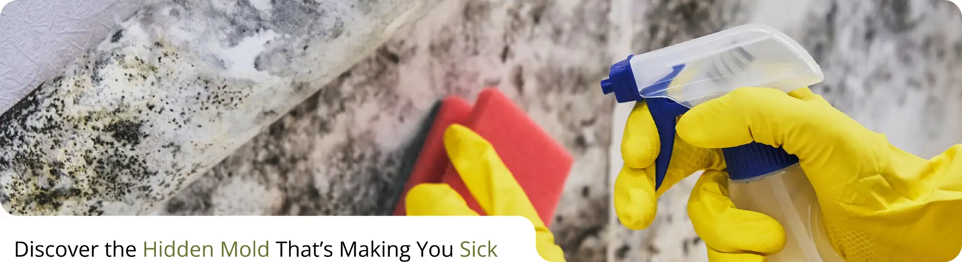 Person wearing yellow glove cleaning wall for Mold Inspection and Testing.