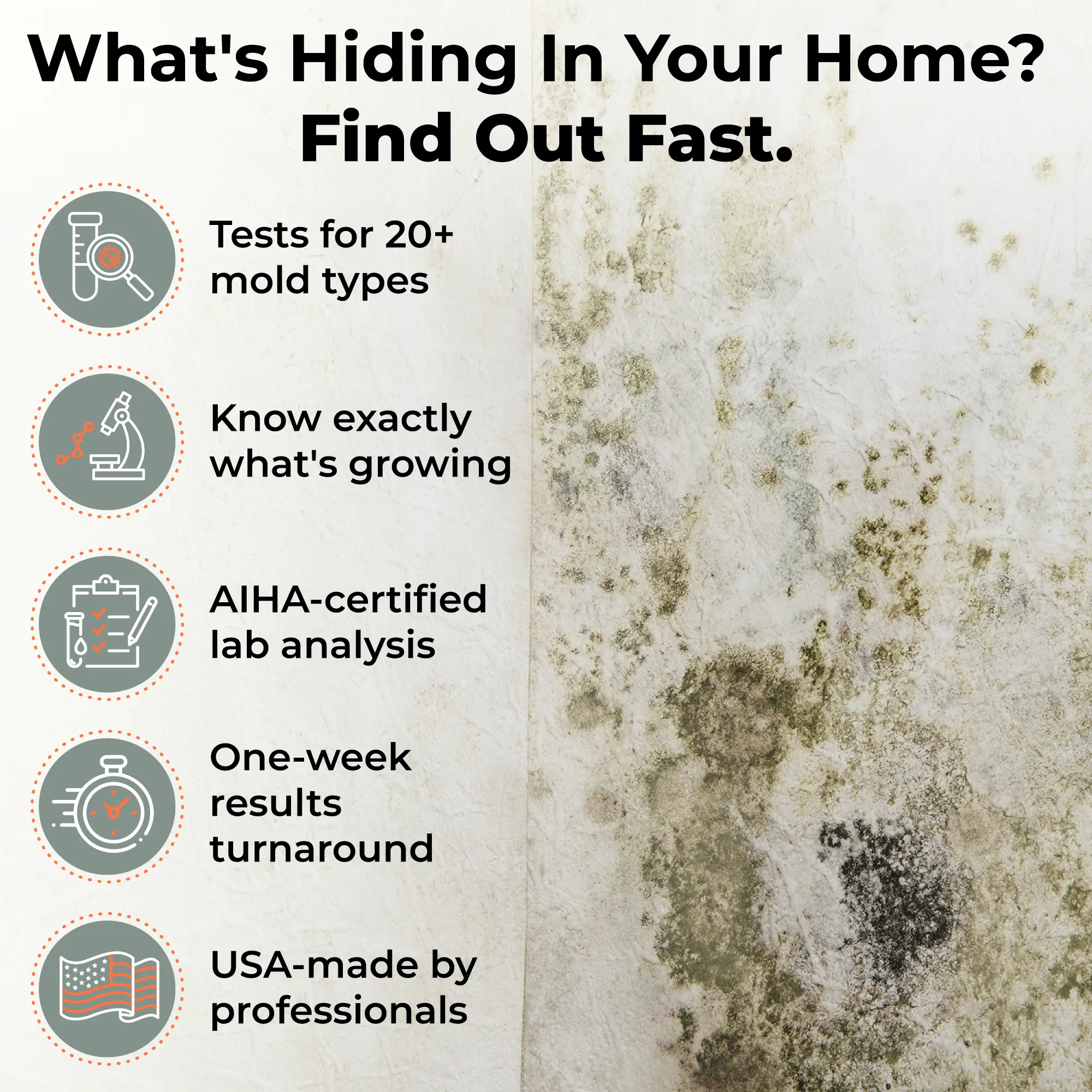 What’s Hiding In Your Home? – Mold Testing Benefits
