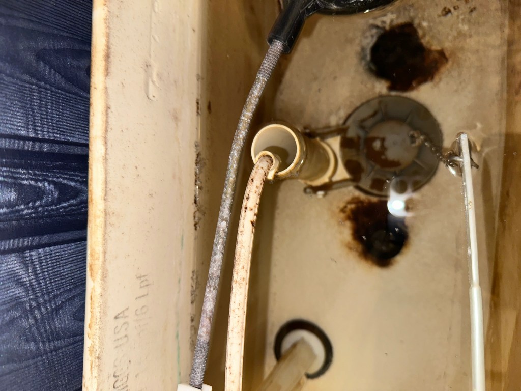 Prevent mold in bathroom by maintaining a clean toilet tank rust and moisture buildup shown in tank.
