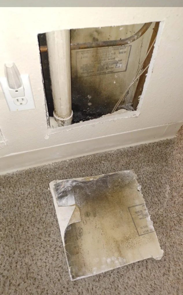 Dirty air vent likely contributing to mold smell in house
