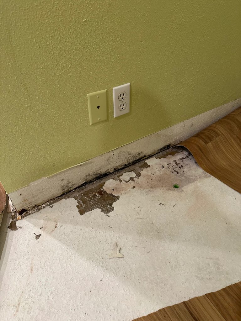 Green mold damage along baseboard and subfloor where water has seeped under peeling vinyl flooring