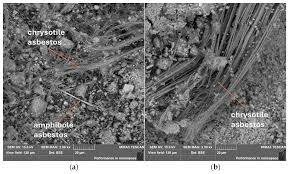 Microscopic view of chrysotile and amphibole fibers identified in asbestos inspection and assessment