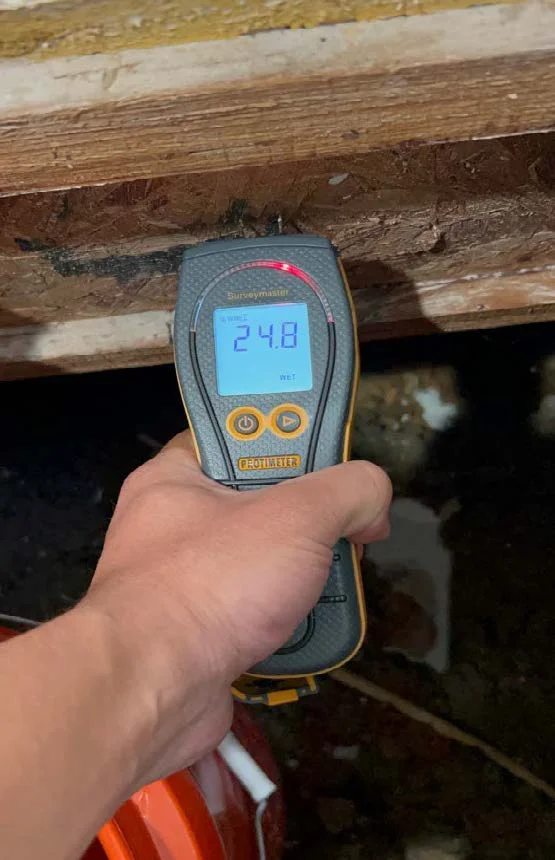 Moisture meter detecting high levels in wood during mold testing services