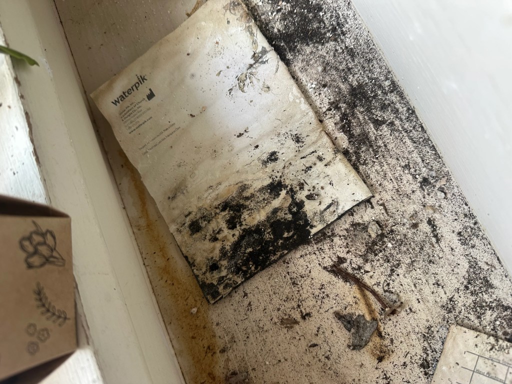 Signs of water damage and mold buildup found during a home inspection before renovation