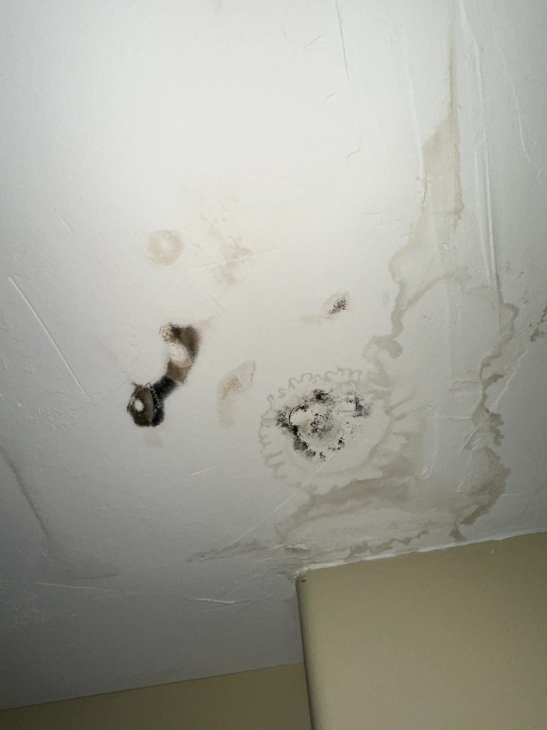 Visible black mold and water damage on ceiling identified during a professional Denver mold inspection