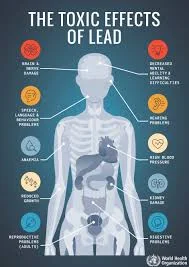 A visual infographic outlining the toxic effects of lead exposure, emphasizing the importance to test for lead paint in living environments