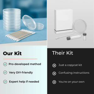Our DIY Mold Testing Kit vs Generic Kits – What Makes Us Better