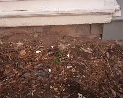 Soil with lead paint chips near a home foundation, showing why it_s essential to protect your family from lead in your home environment