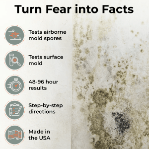 Turn Fear into Facts – Accurate Mold Testing Results in 48–96 Hours
