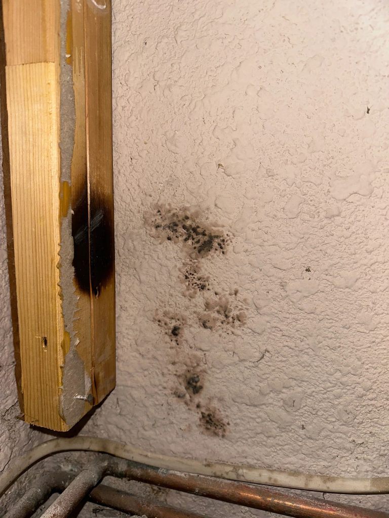 Mold growth behind wall illustrating how to prevent mold in basement areas