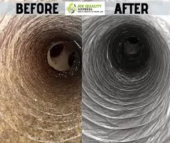 Mold in HVAC system before and after professional air duct cleaning