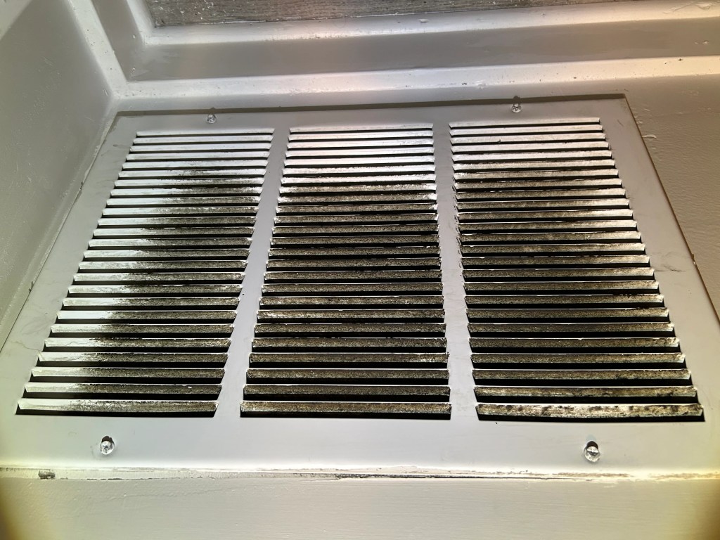 Moldy air vent causing mold toxicity symptoms in kids