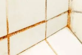 Red mold growing on tile grout in bathroom corner due to excess moisture