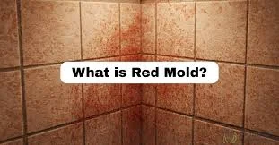 Red mold spreading on shower tiles highlighting what red mold looks like in bathrooms