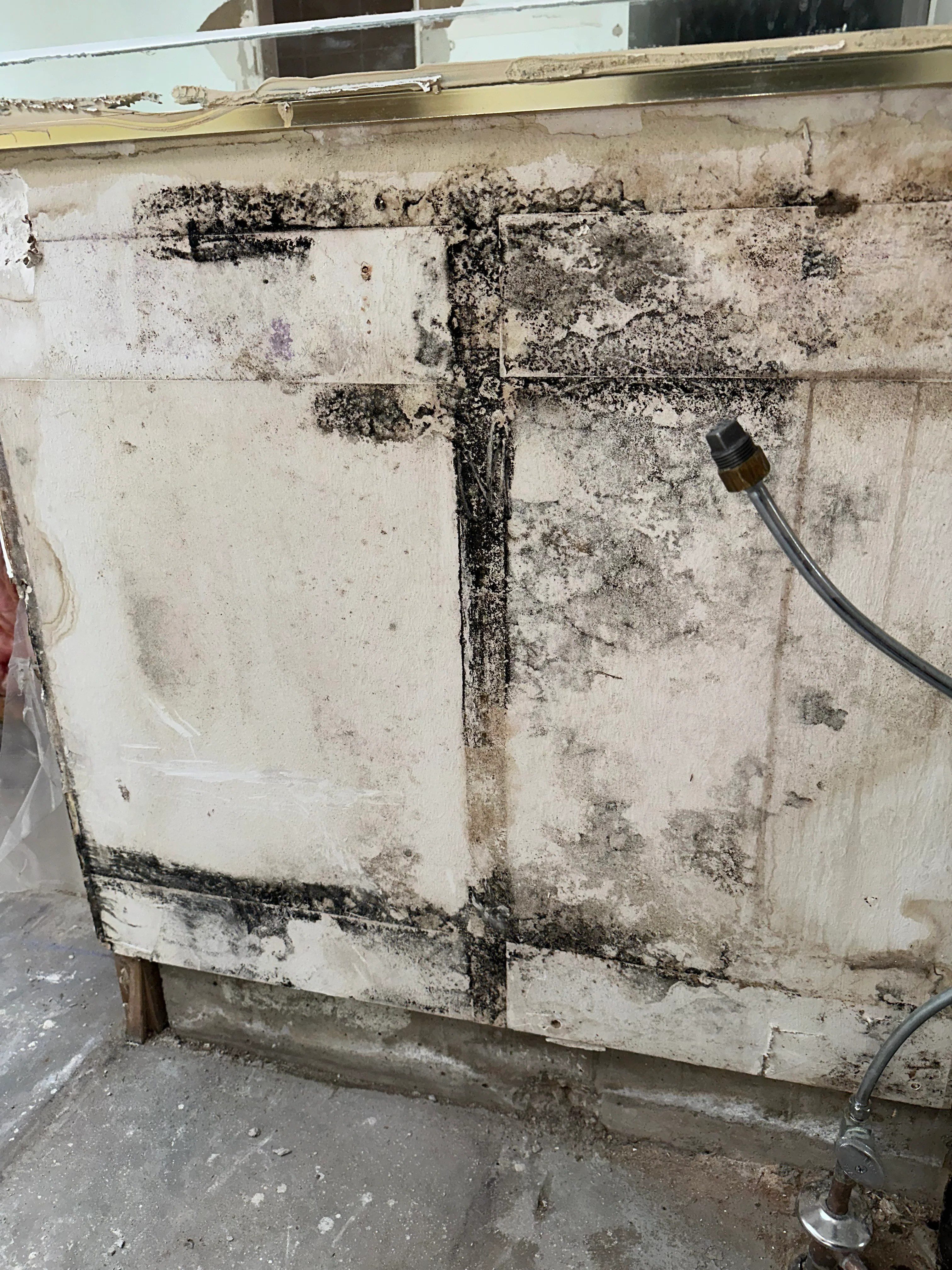 Severe black mold growth demonstrating how to prevent mold in basement walls