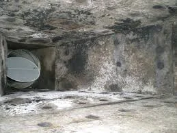 Severe mold in HVAC system covering air duct interior surfaces