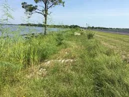 Vegetation used to show how to prevent soil erosion on a construction site