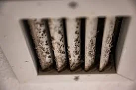 Visible mold in HVAC system on dirty air vent grille