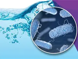 Microscopic bacteria in water showing why people ask how to test water for bacteria