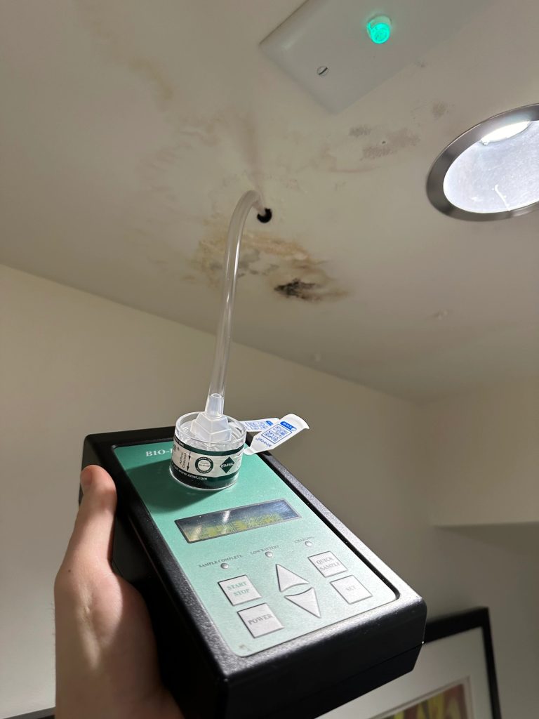 professional air sampling services detecting ceiling mold contamination