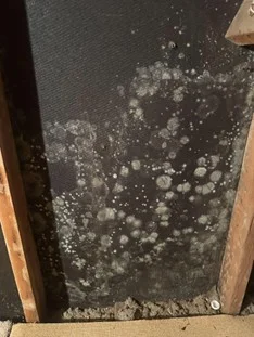 Mold spots on wood surface showing portraying how to clean black mold off wood