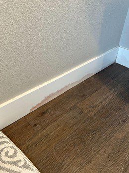 Water stain on baseboard and flooring showing moisture that may require how to clean black mold off wood steps
