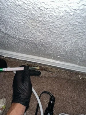 Professional checking wall and baseboard for mold growth to estimate how long does mold remediation take.