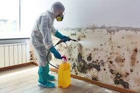 mold removal in denver