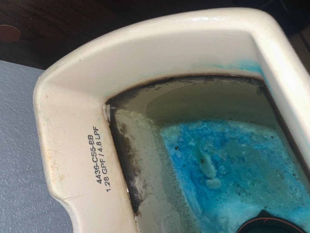 Bathroom mold buildup demonstrating can mold grow in the cold inside plumbing and toilets