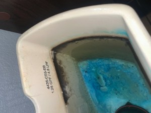 Bathroom mold buildup demonstrating can mold grow in the cold inside plumbing and toilets