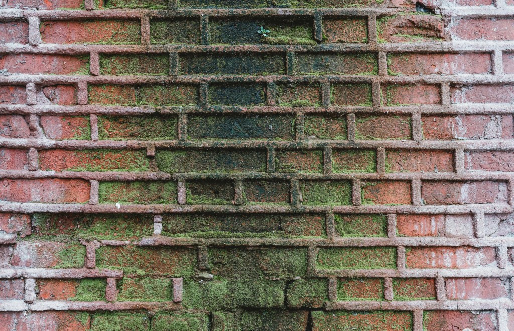 Brick wall mold growth linked to what causes mold in a house during winter from condensation