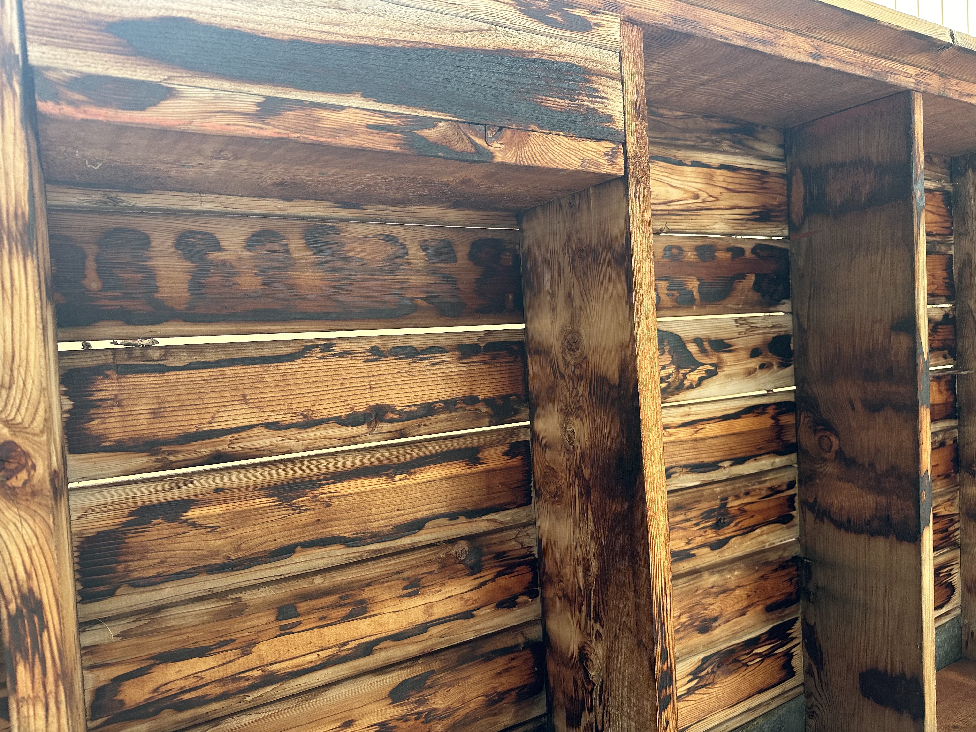 Structural wood damage illustrating differences between mold abatement vs remediation