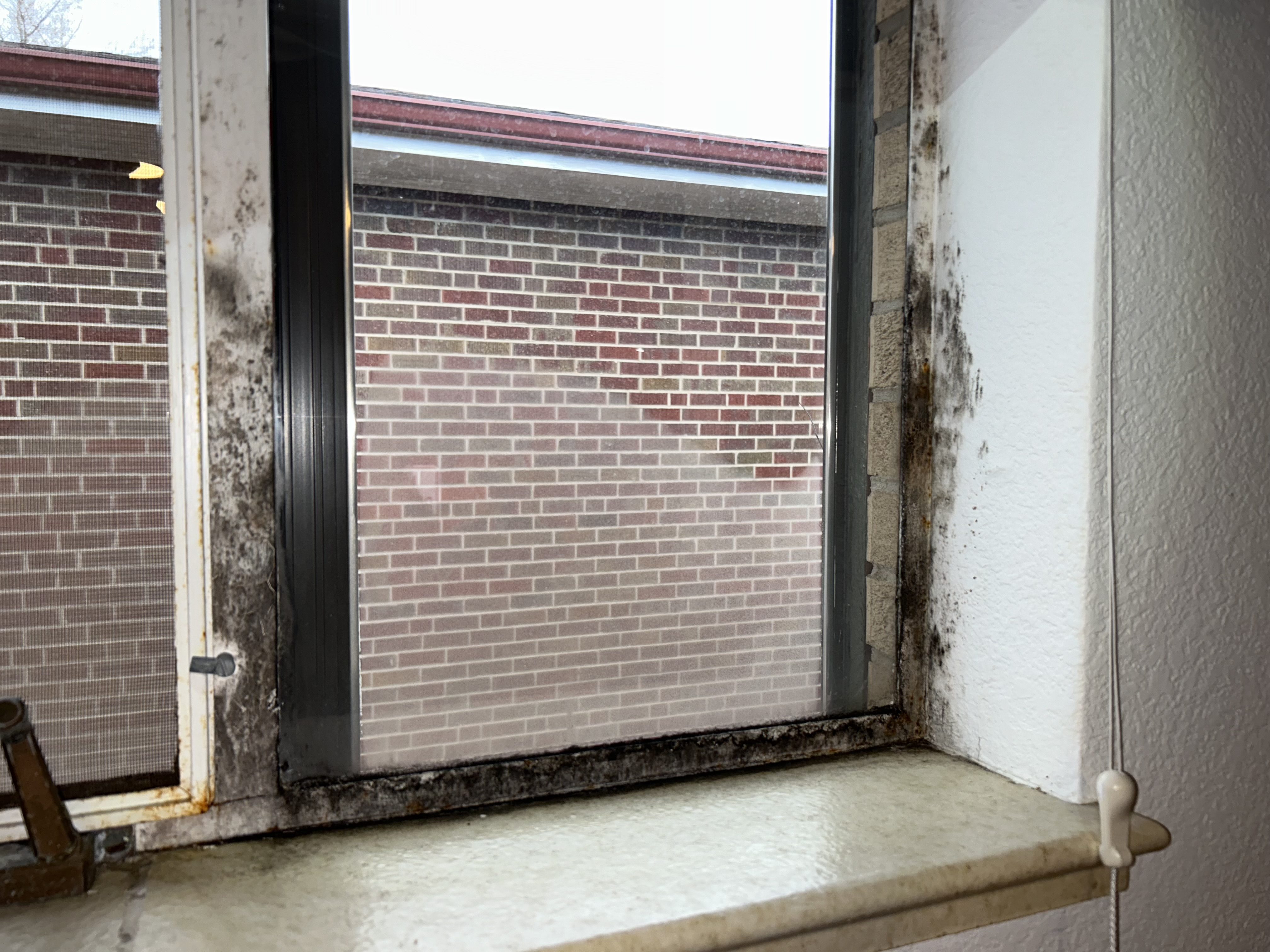Severe mold on a window frame