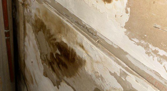 Damp drywall with staining demonstrating what causes mold in a house during winter months