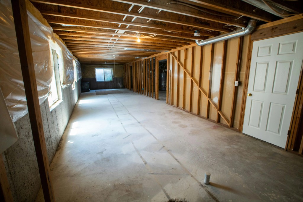 basement mold types
