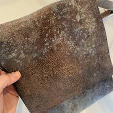 Detailed texture image showing what does a black mold spore on leather look like on aged leather material