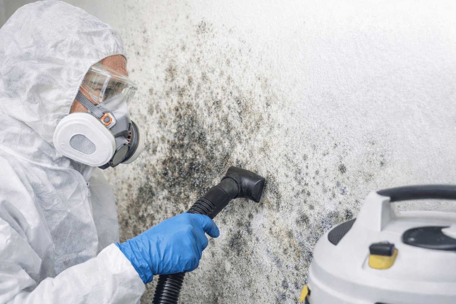 Professional getting rid of mycotoxins in home using proper containment and HEPA filtration methods