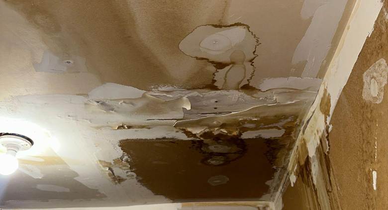 How to get rid of mycotoxins in your home caused by airborne toxins, mold spores, and water leaks in the home