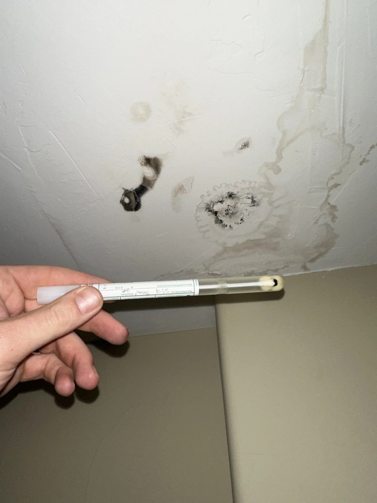 Image of ceiling mold sample collection for how much does mold testing cost evaluation