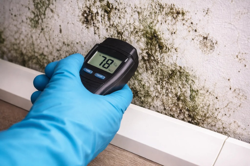 Image of moisture meter detecting wall mold for how much does mold testing cost guide