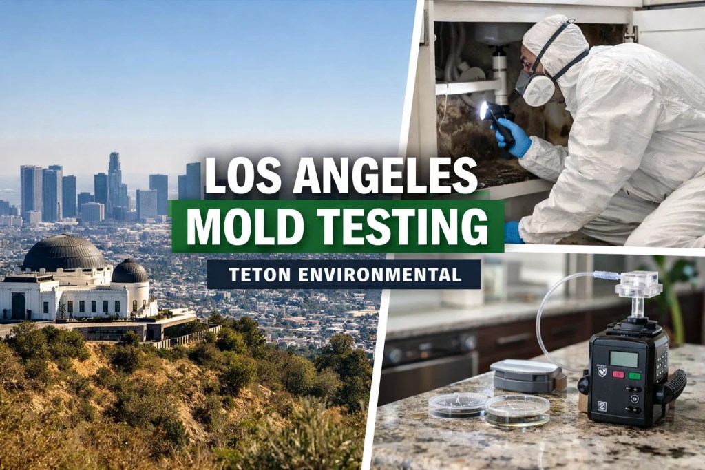 Los Angeles Mold Testing