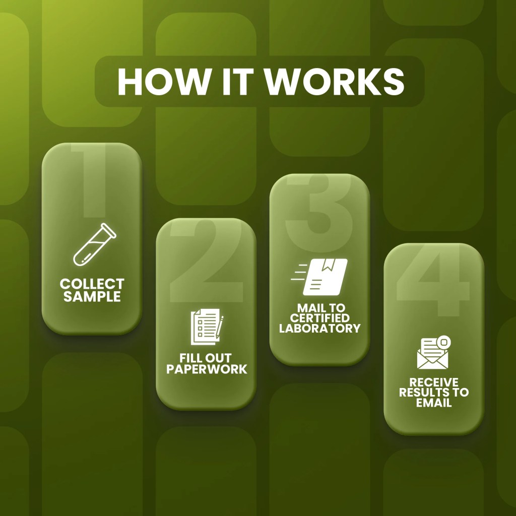graphic explaining steps for mold testing kit process related to are home mold test kits accurate