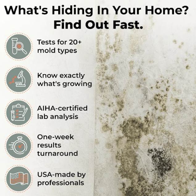 graphic of wall mold contamination highlighting why homeowners ask are home mold test kits accurate